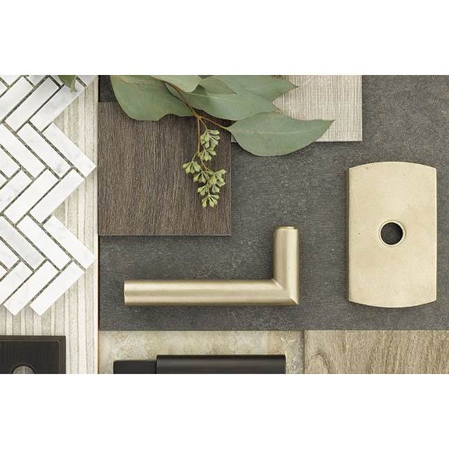 Concealed, Passage, No.3 Rosette, Mariposa Lever, FB
