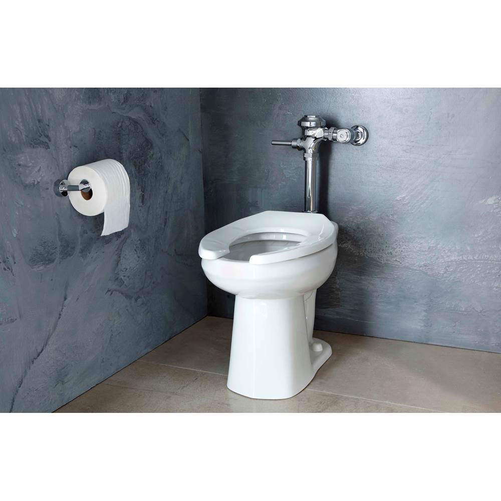 North Point 1.28/1.6gpf ADA Elongated Floor Mounted Top Spud Bowl 10'' Rough-In White