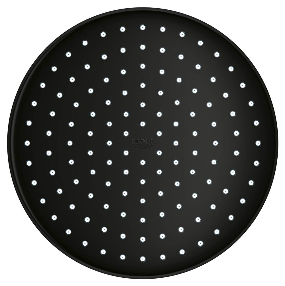 250 Rain Shower Head, 9 7/8 - 1 Spray, 1.75 gpm
