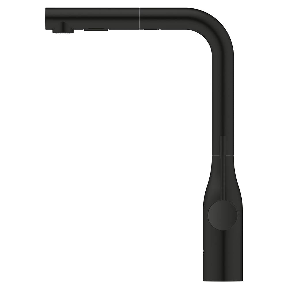 Single-Handle Pull-Out Kitchen Faucet Dual Spray 1.75 GPM