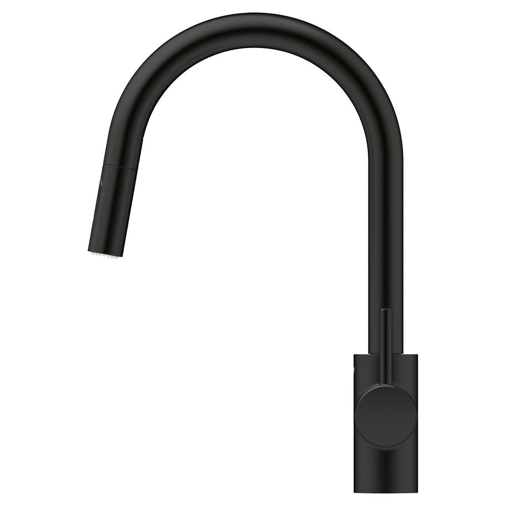 Concetto Single-Handle Pull-Down Kitchen Faucet Dual Spray 1.75 GPM