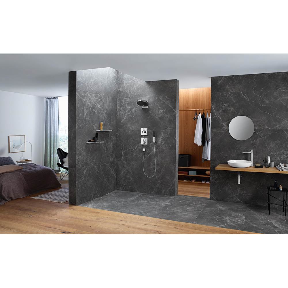 Rainfinity Showerhead 250 1-Jet, 2.5 GPM in Chrome