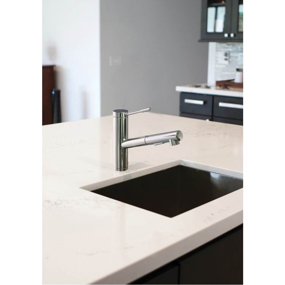 Pull-Out Kitchen Faucet, Chrome