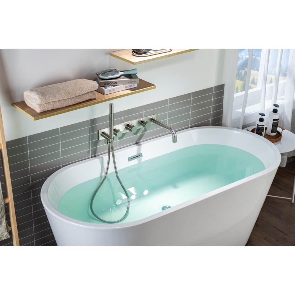Wall Mount Tub Filler With Hand Shower