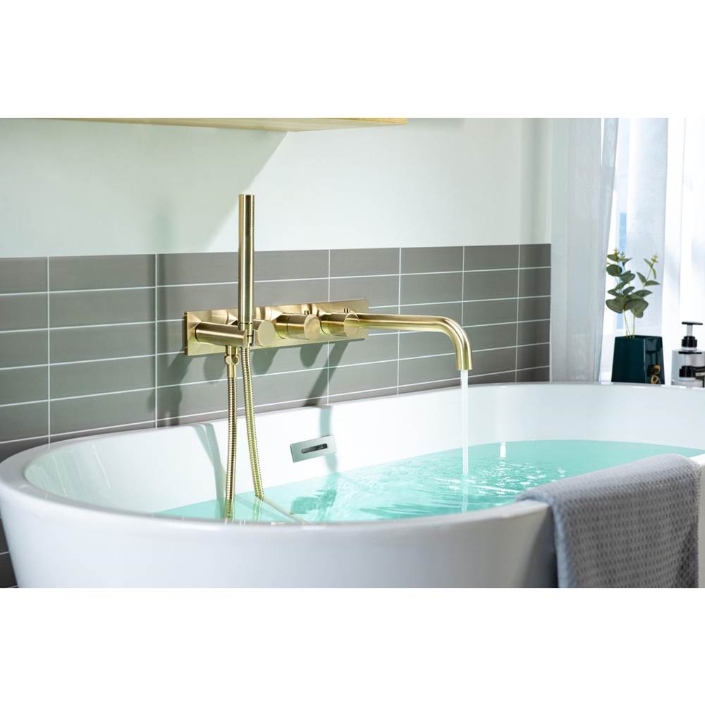 Wall Mount Tub Filler With Hand Shower