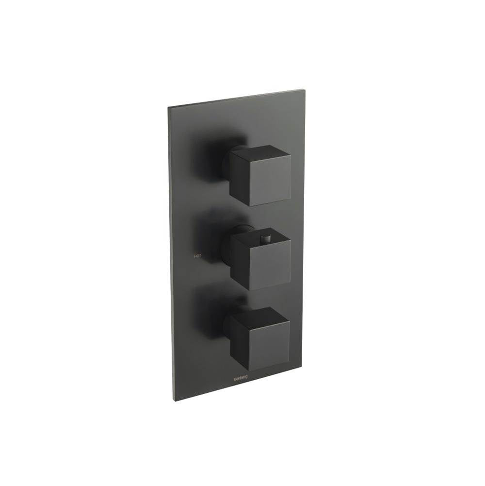 Isenberg By Flusso - 3/4'' Thermostatic Valve & Trim - 4 Output - Matte Black