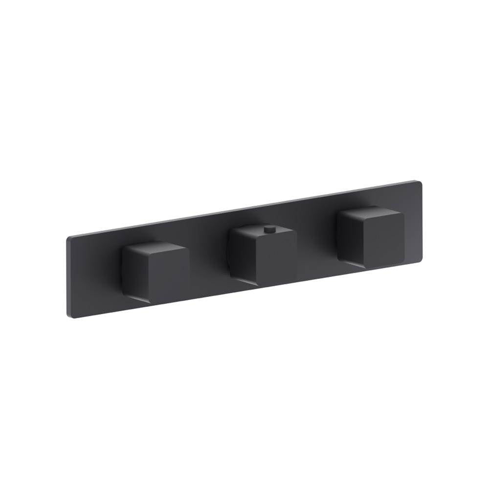 Isenberg By Flusso - 3/4'' Horizontal Thermostatic Valve with 2 Volume Controls & Trim - Dark Grey