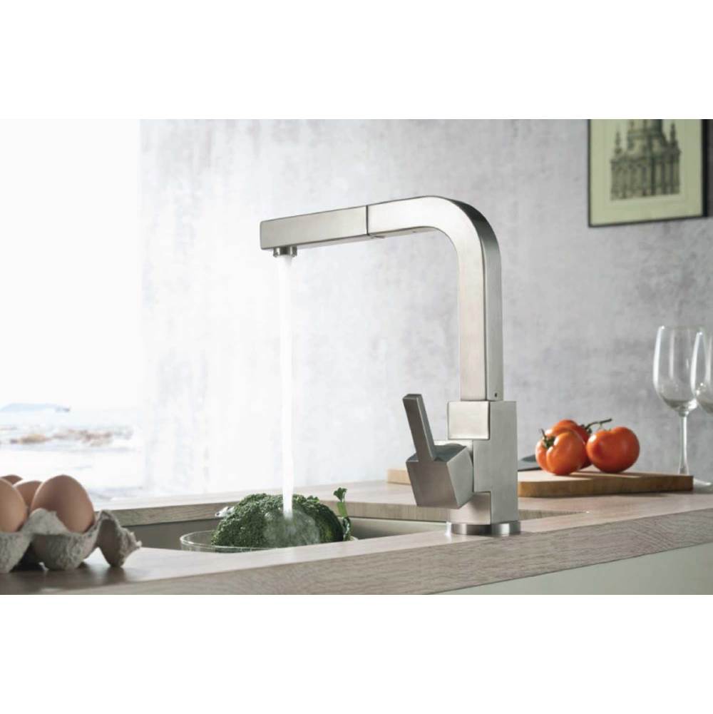 Deus - Dual Spray Stainless Steel Kitchen Faucet With Pull Out