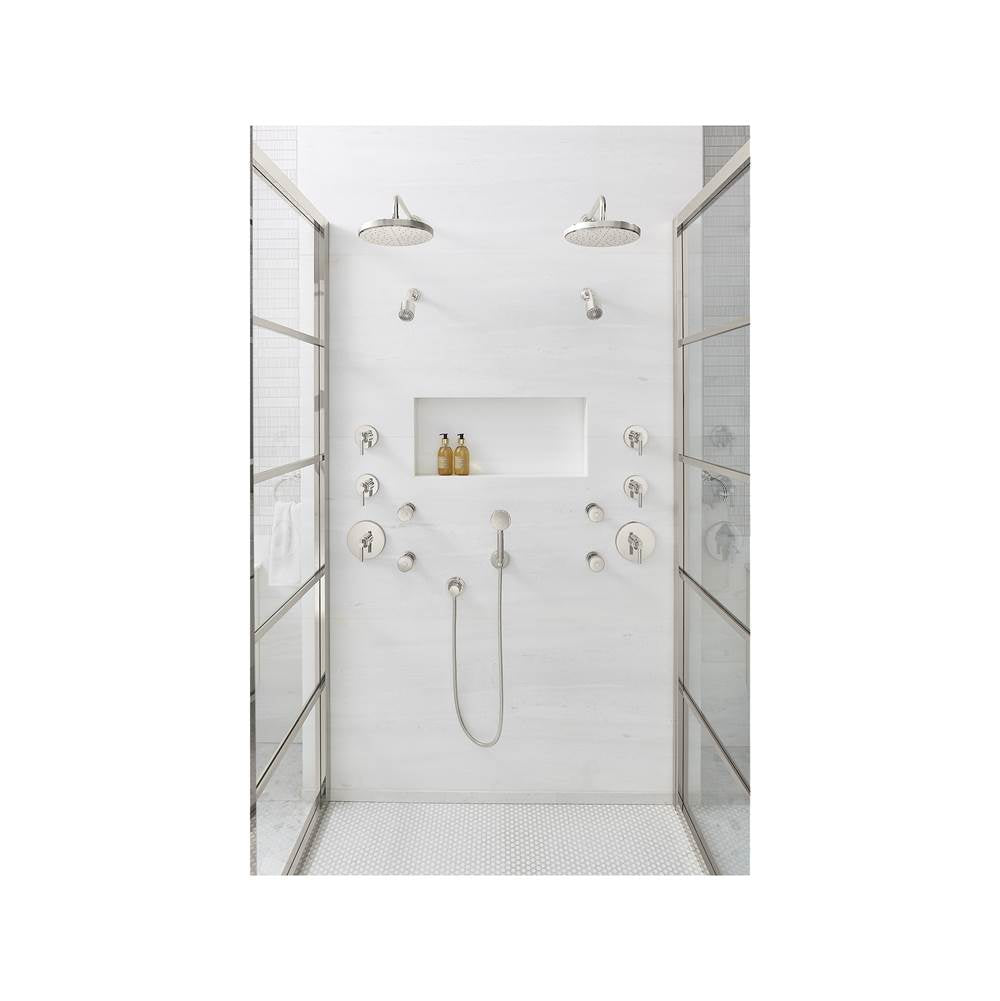Central Park WestE Showerhead With Arm
