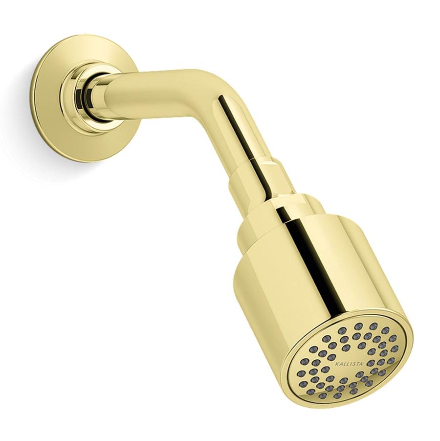 Kallista - Central Park WestE Showerhead With Arm - Unlacquered Brass