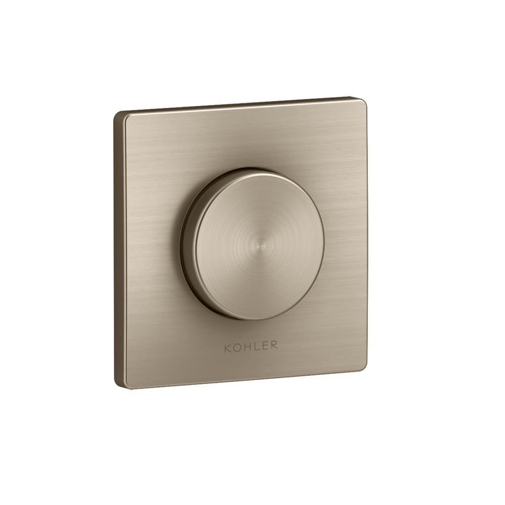 Real Rain Diverter valve trim