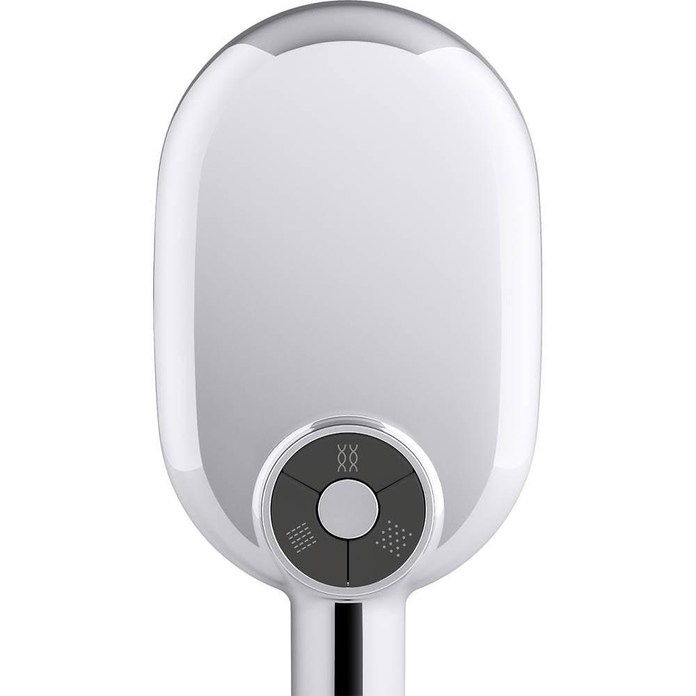 Statement Oblong three-function handshower, 2.5 gpm