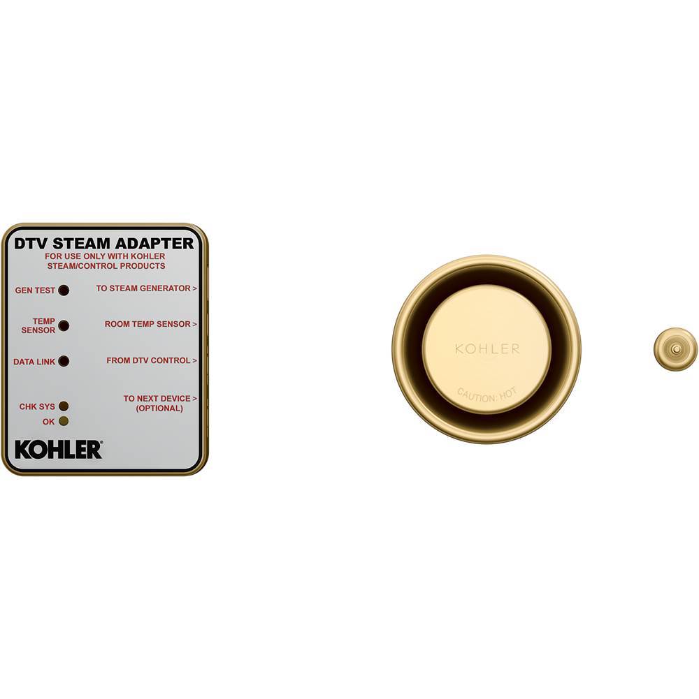 Invigoration Series Digital steam adapter kit