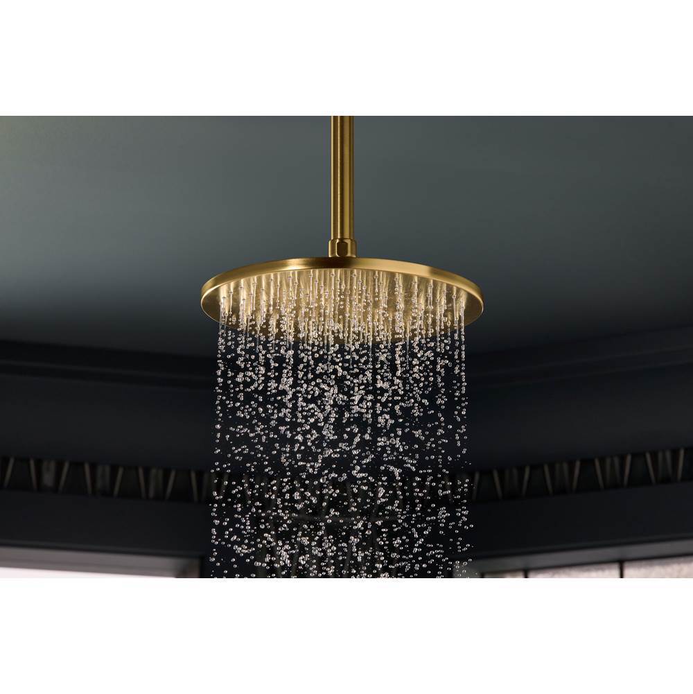 Occasion 8'' single-function rainhead, 2.5 gpm