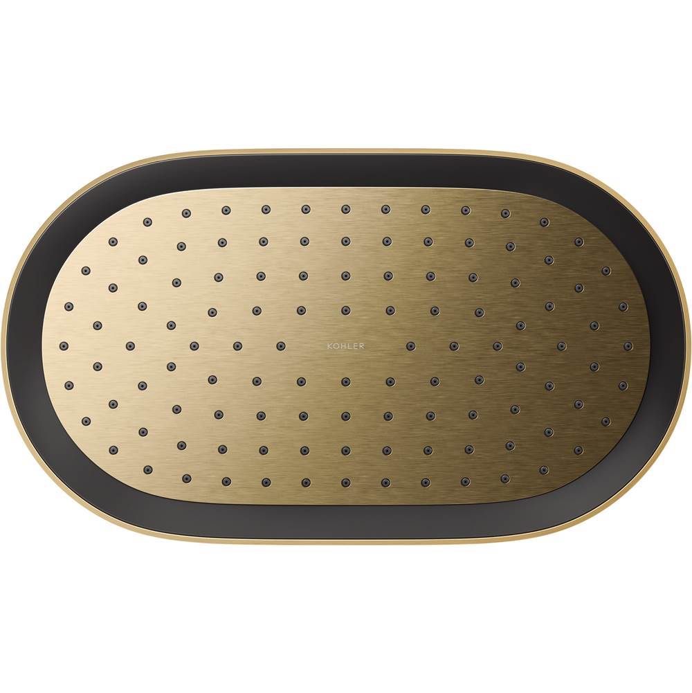 Statement Oblong 14'' single-function rainhead, 2.5 gpm