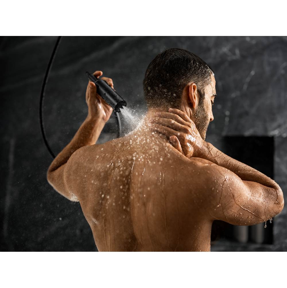 Statement Iconic wand two-function handshower, 2.5 gpm