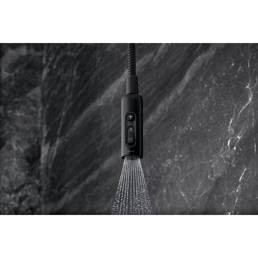 Statement Iconic wand two-function handshower, 2.5 gpm