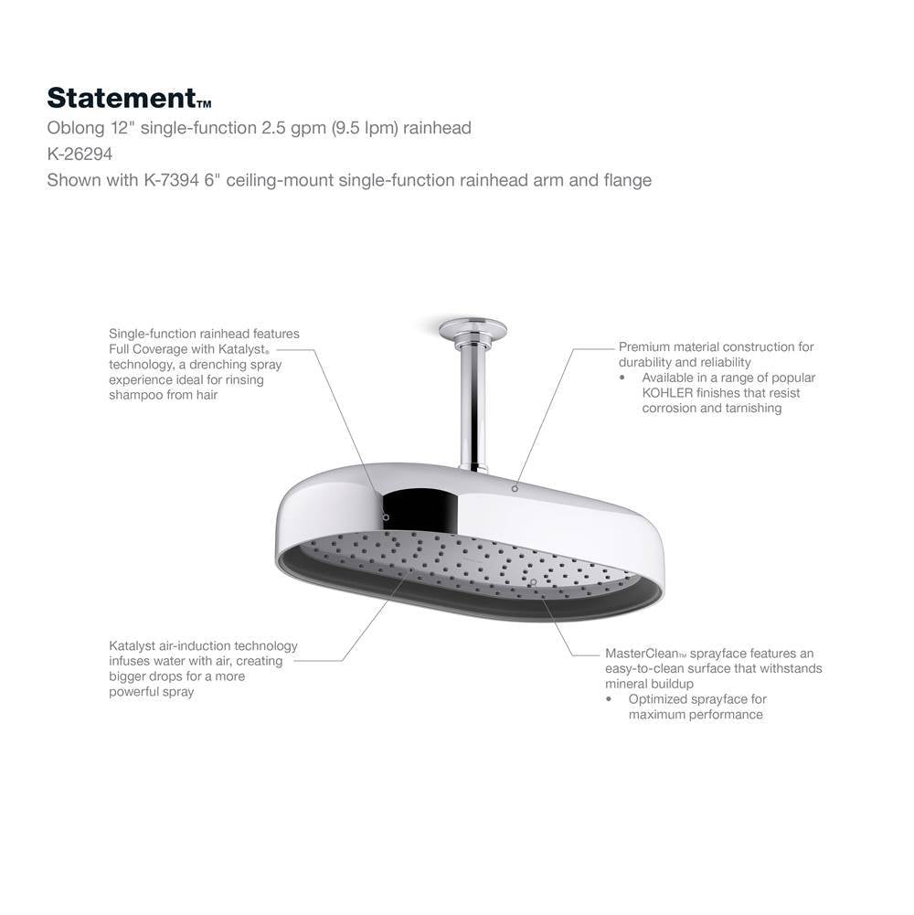 Statement Oblong 14'' single-function rainhead, 2.5 gpm