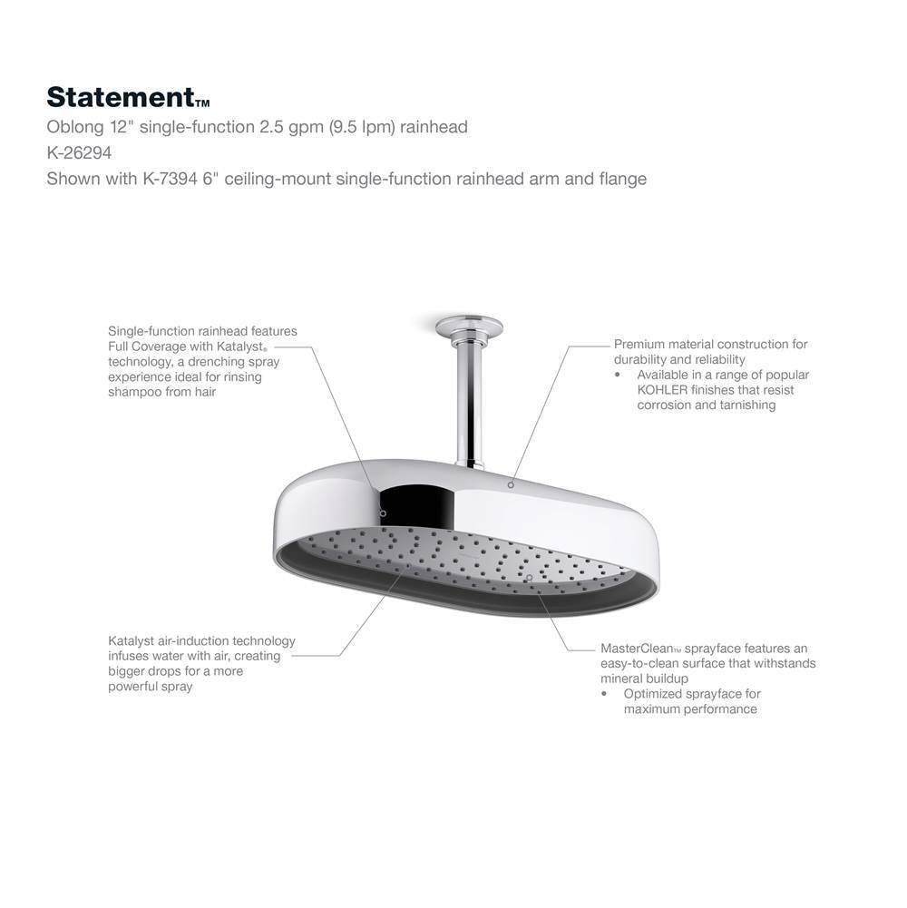 Statement Oblong 14'' single-function rainhead, 2.5 gpm