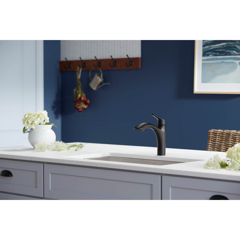 Rival Pull-out kitchen sink faucet with two-function sprayhead