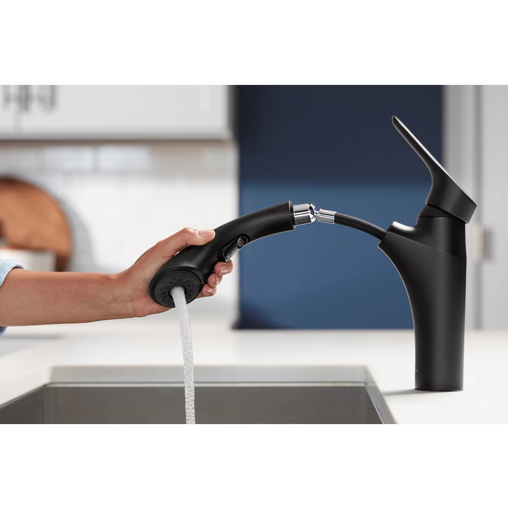 Rival Pull-out kitchen sink faucet with two-function sprayhead
