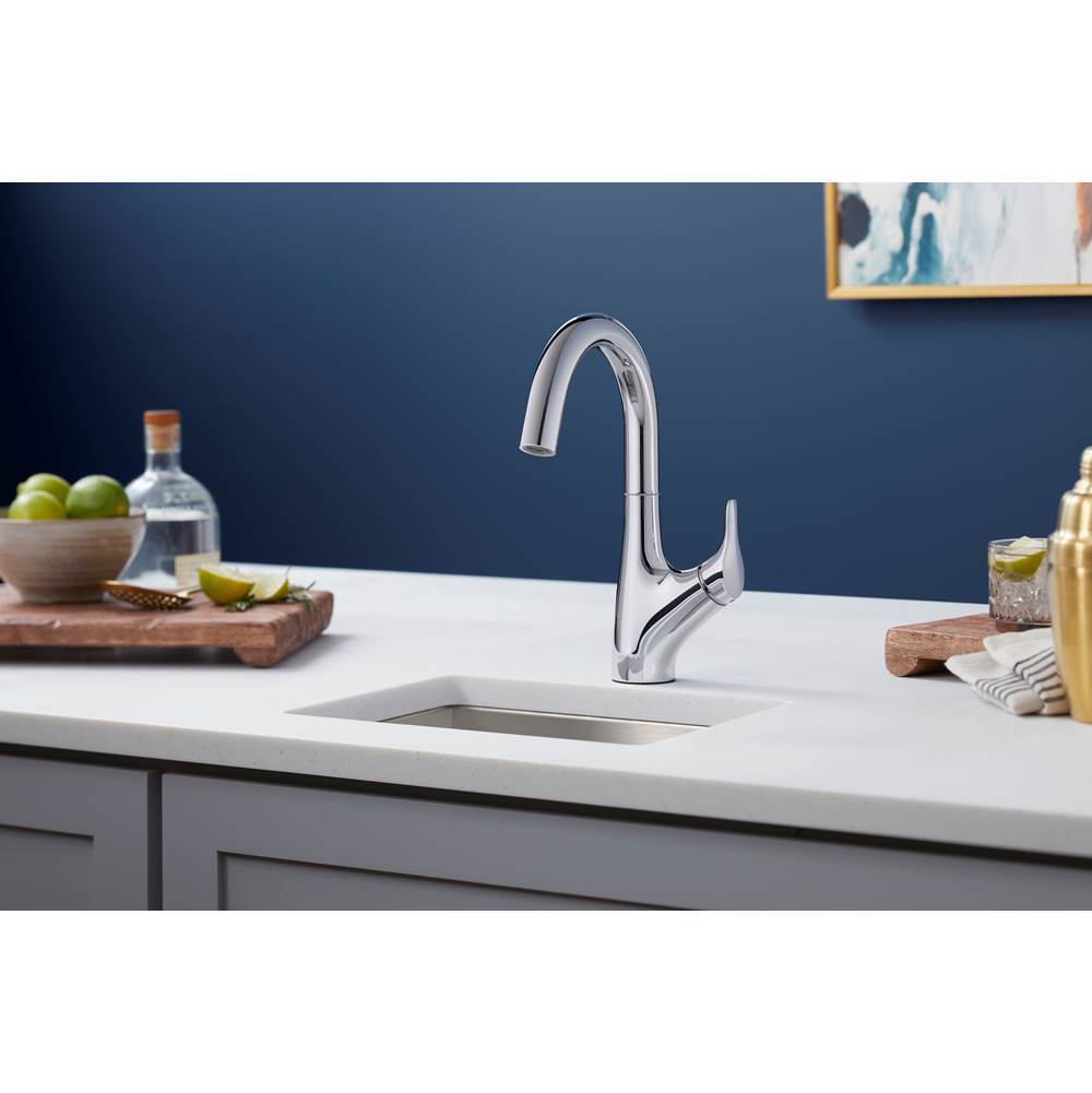 Rival Single-handle bar sink faucet