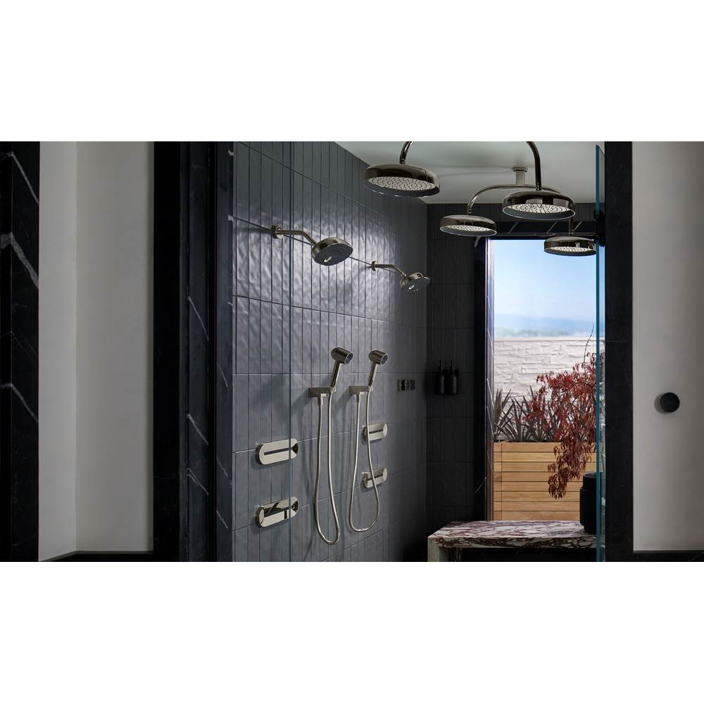 Statement Ceiling-mount single-function dual rainhead arm