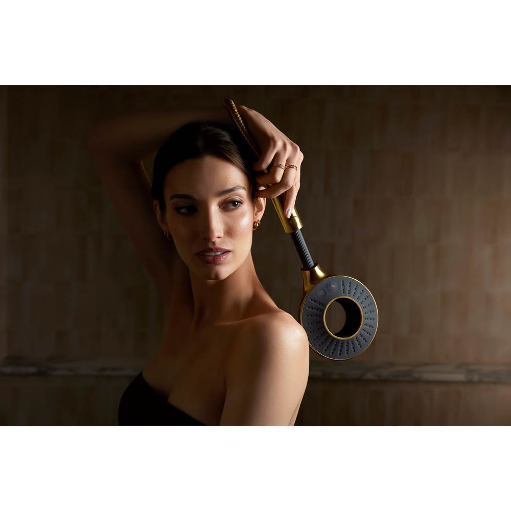 SpaVivaE Two-function handshower, 2.5 gpm