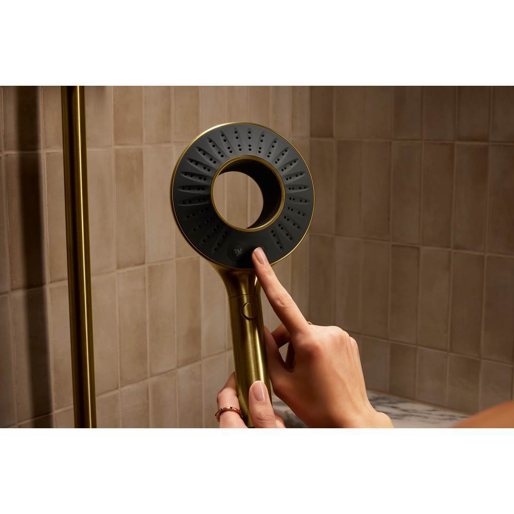 SpaVivaE Two-function handshower, 2.5 gpm