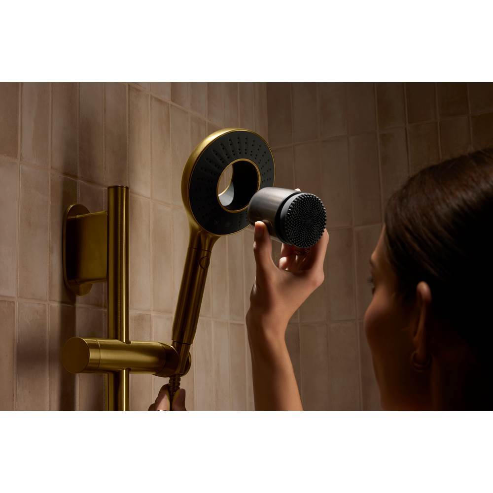 SpaVivaE Two-function handshower with all-in-one cleansing device, 2.5 gpm