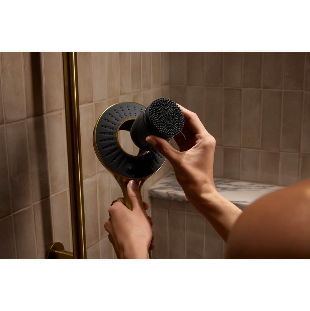 SpaVivaE Two-function handshower, 2.5 gpm