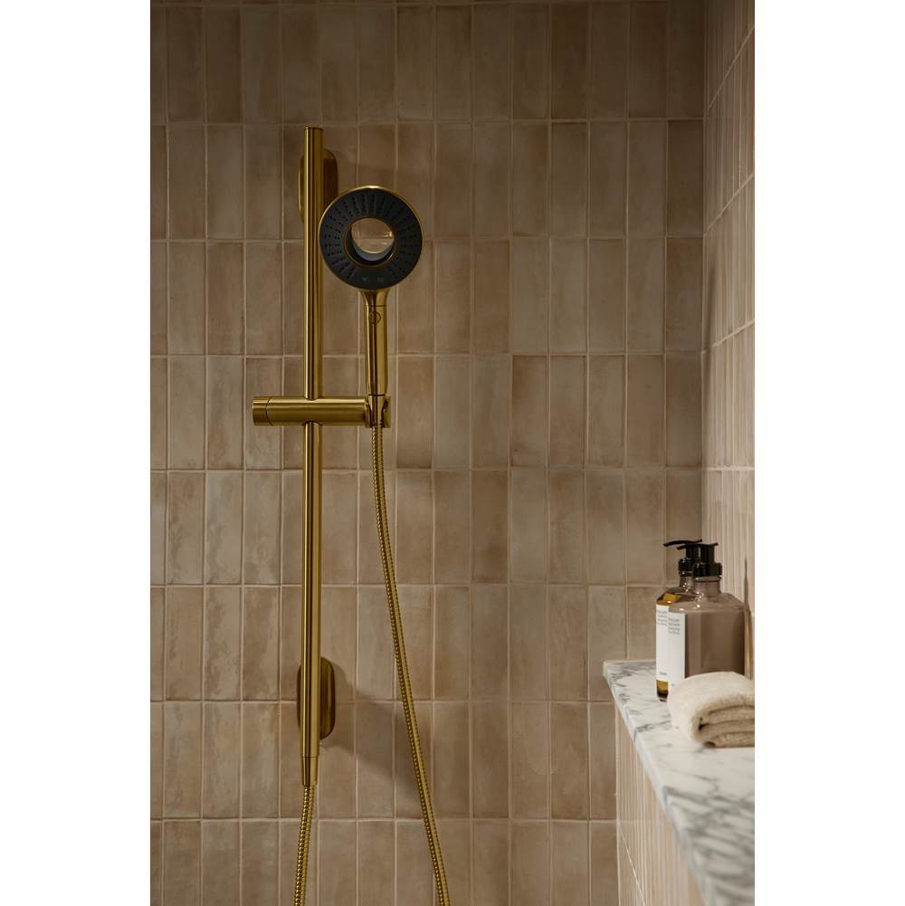 SpaVivaE Two-function handshower, 2.5 gpm