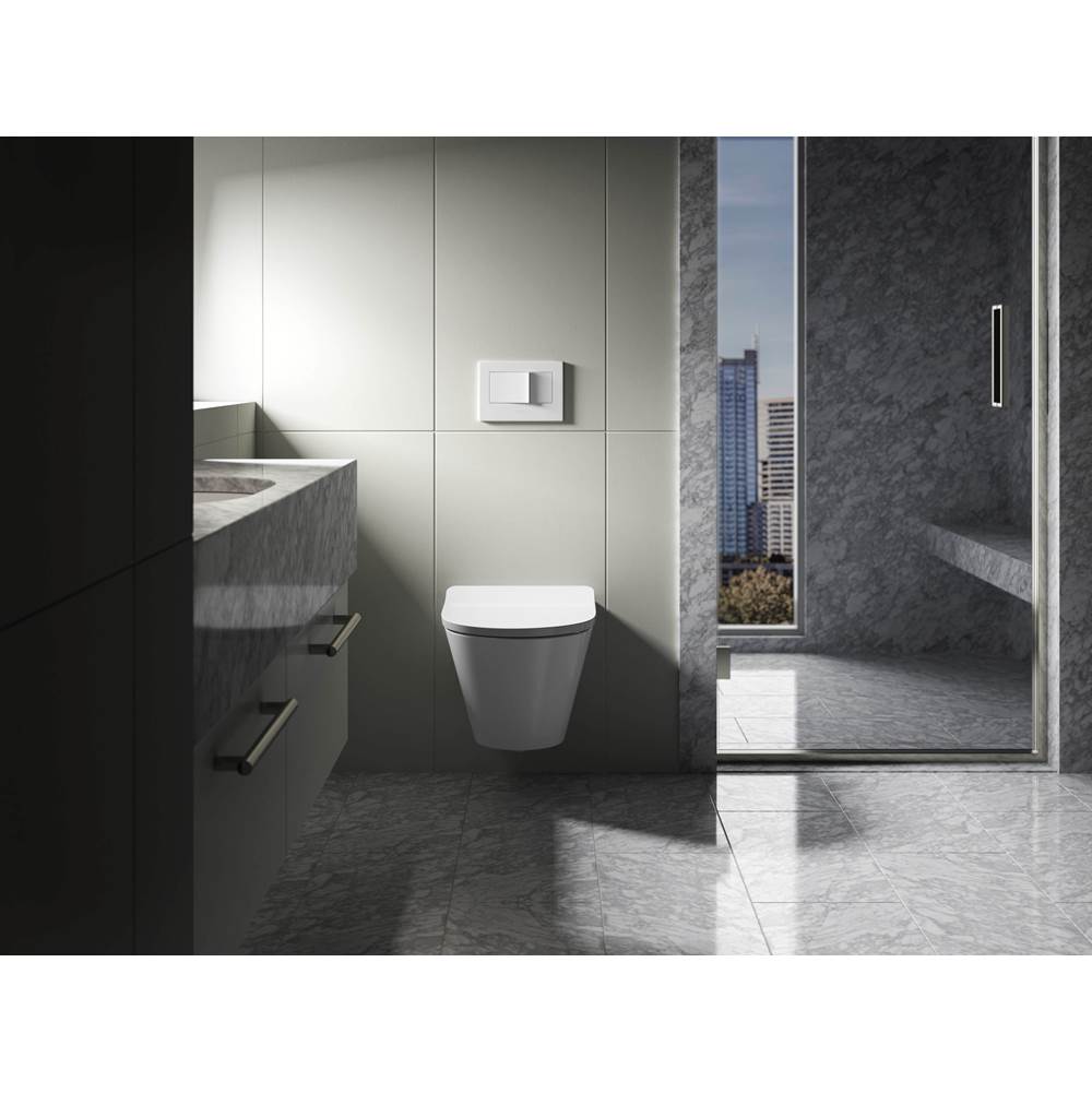Brazn Wall-hung round-front toilet, dual-flush