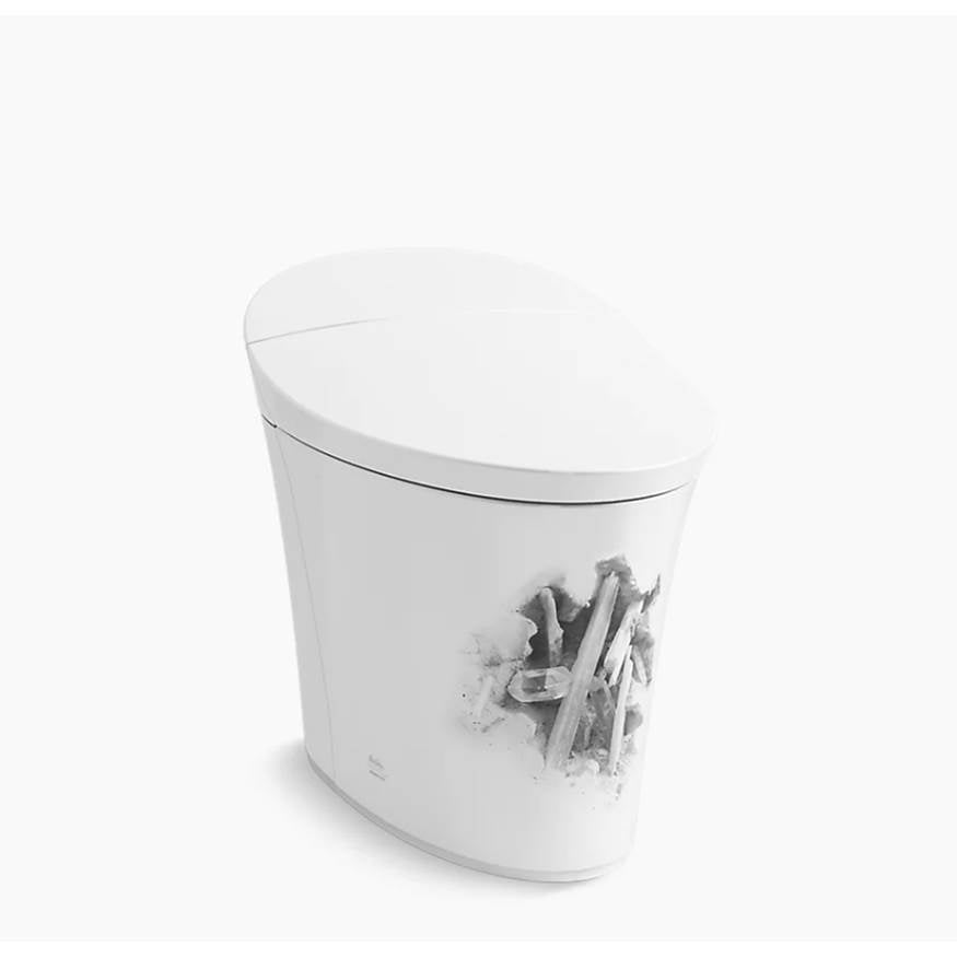 Kohler - LandshapesE by Daniel Arsham One-piece elongated smart toilet, dual-flush - Landshapes Smart Toilet