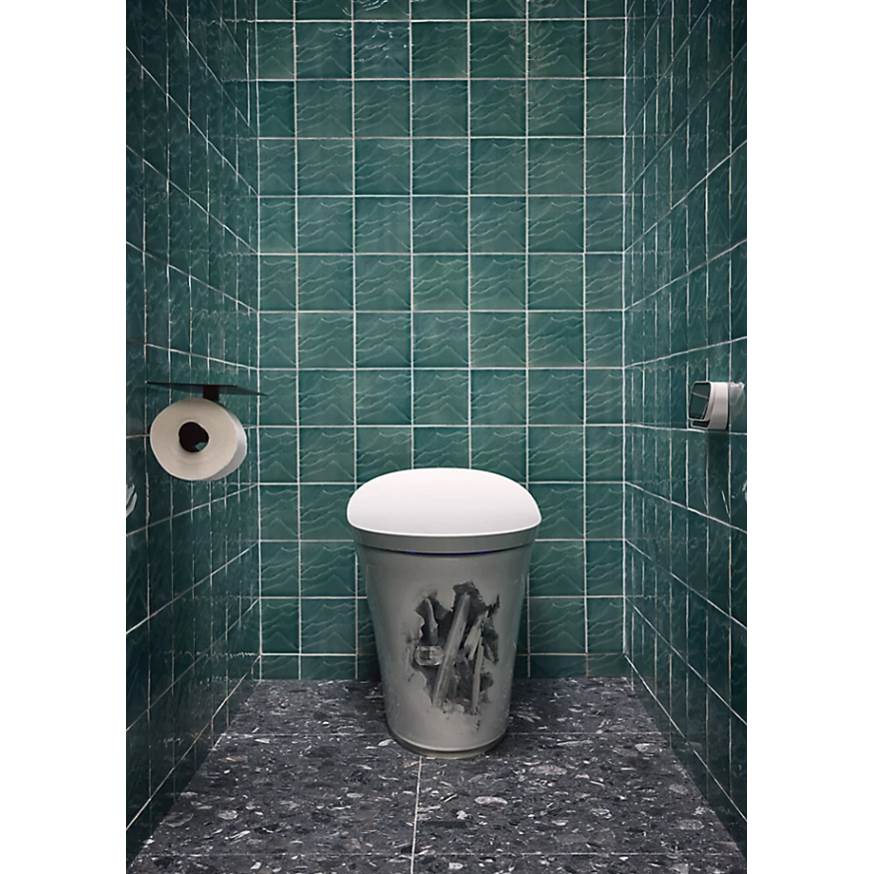 LandshapesE by Daniel Arsham One-piece elongated smart toilet, dual-flush