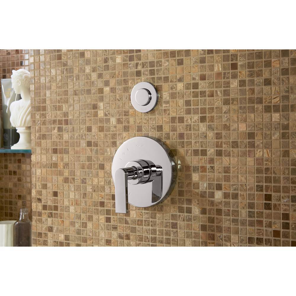 Composed Rite-Temp valve trim with lever handle