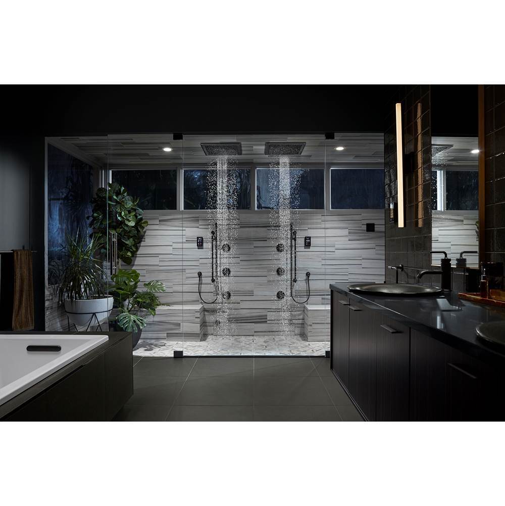 Real Rain 19'' two-function overhead shower panel, 1.75 gpm