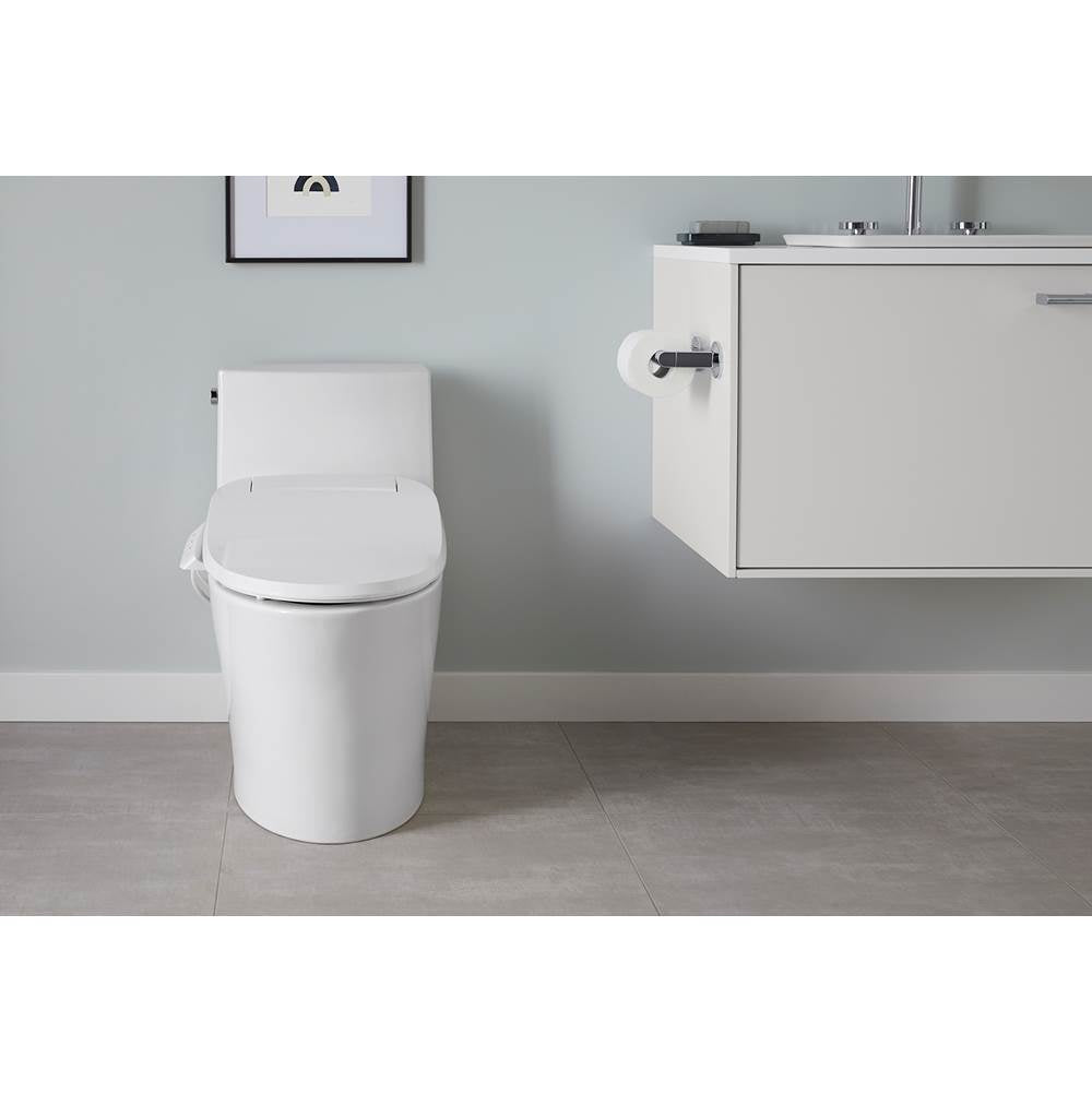 Veil One-piece elongated toilet with skirted trapway, dual-flush