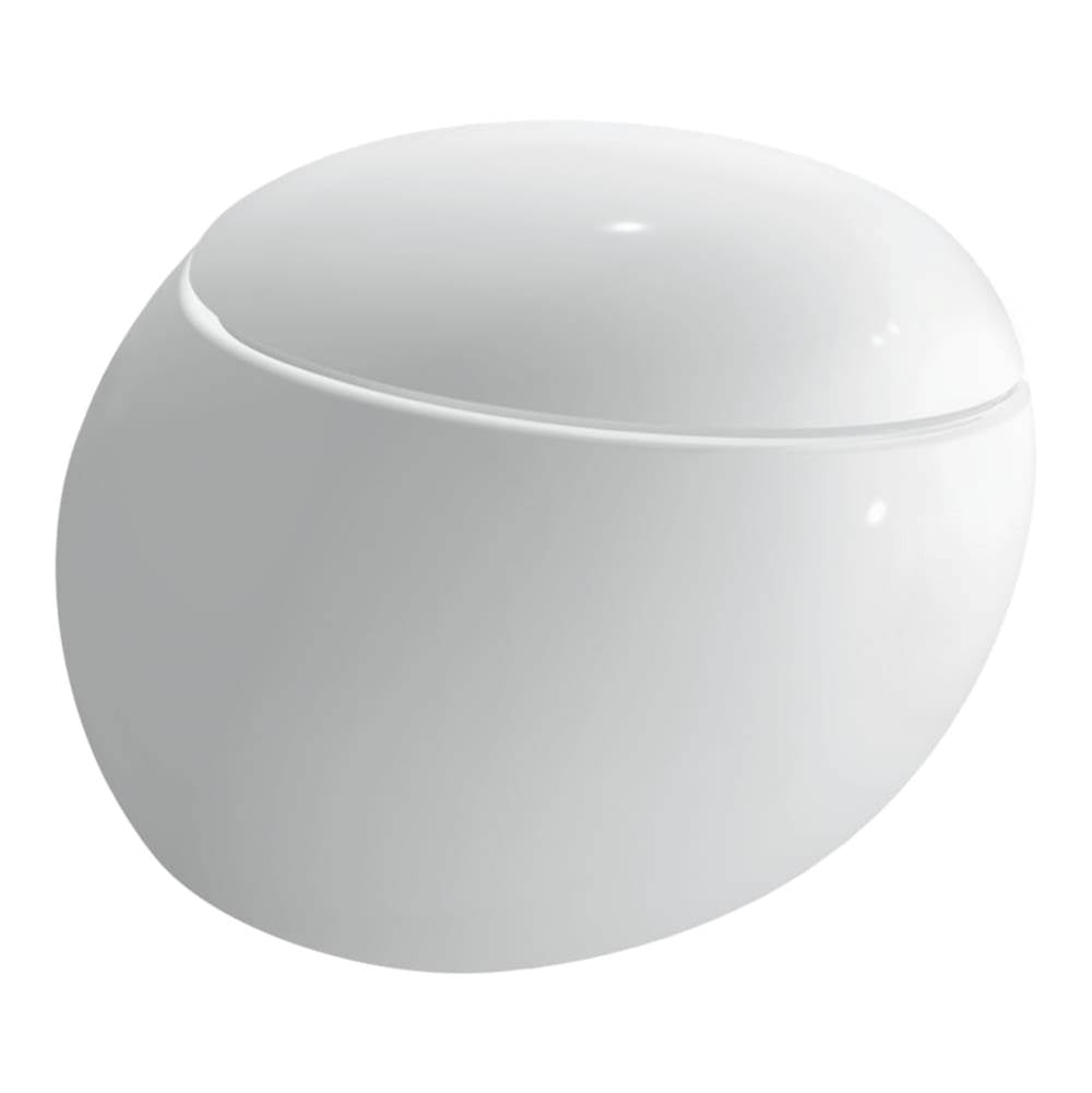 Laufen - Wall-hung WC, Washdown, Closed Water Rim, For USA - Matte White