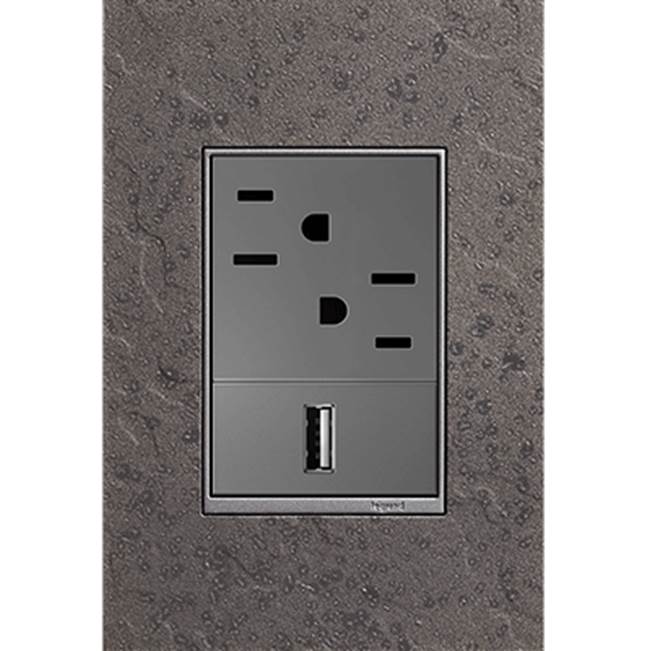 Legrand - Hubbardton Forge Natural Iron, 1-Gang + Wall Plate - Natural Iron