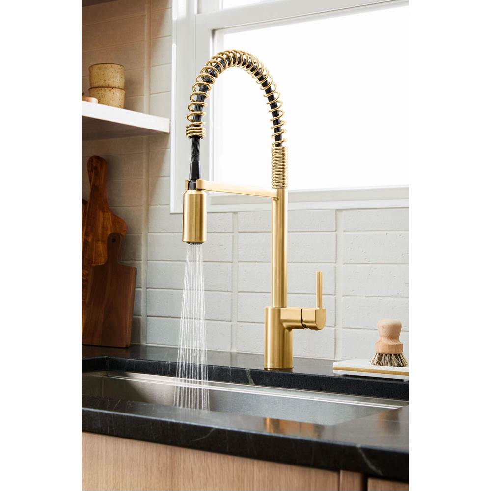 Align One Handle Pre-Rinse Spring Pulldown Kitchen Faucet with Power Boost, Chrome
