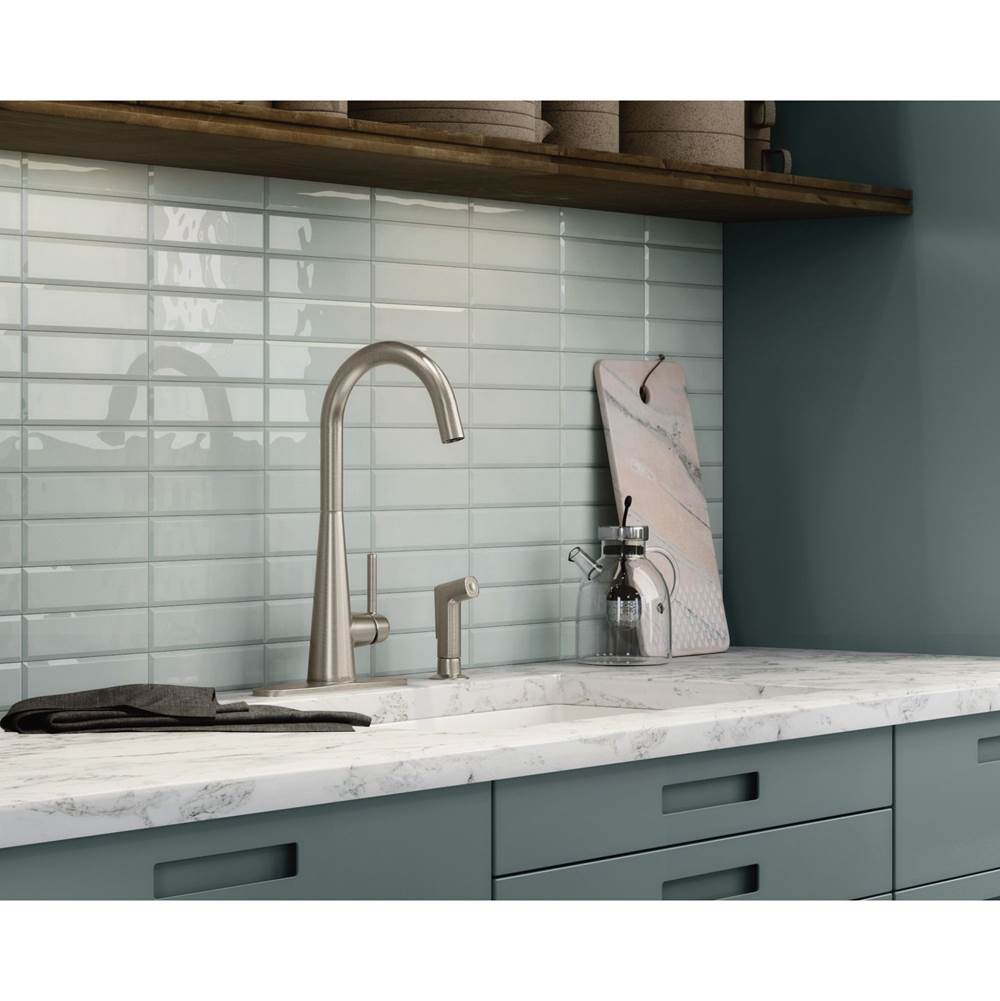 Sleek Single-Handle Standard Kitchen Faucet with Side Sprayer in Matte Black