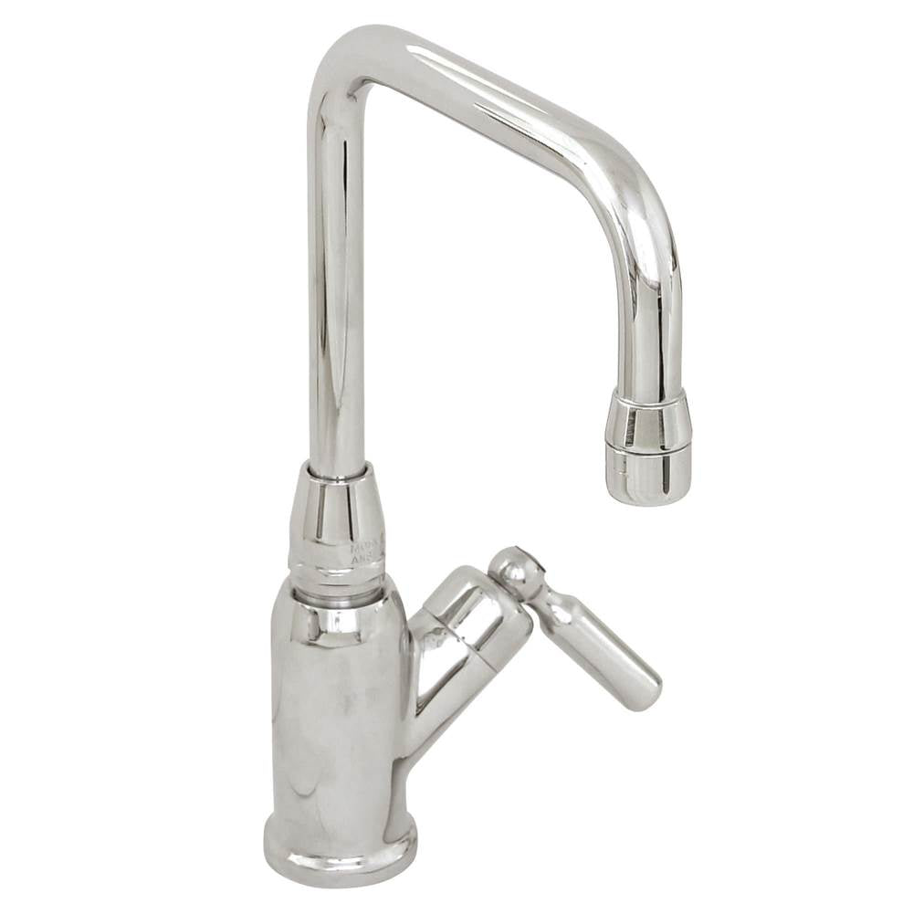 Chrome commerical spout