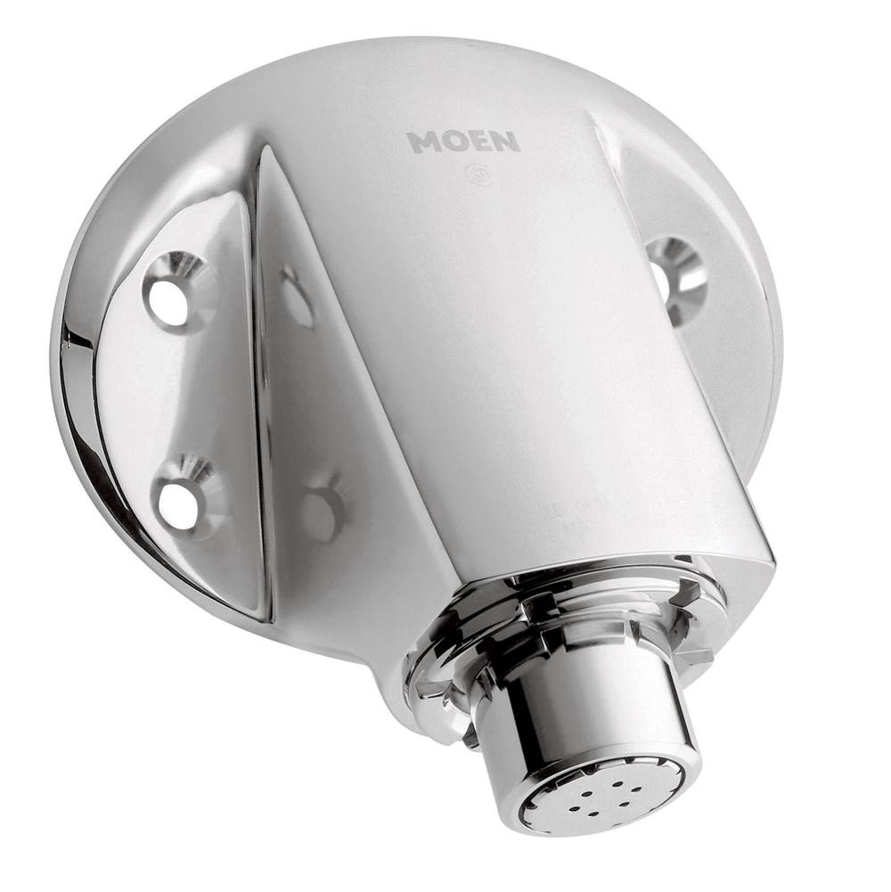 Chrome showerhead