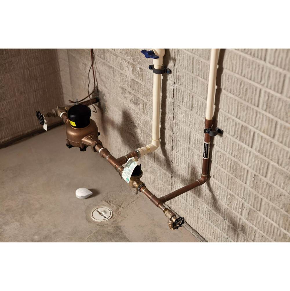 Flo Smart Water Leak Detector, 3-Pack