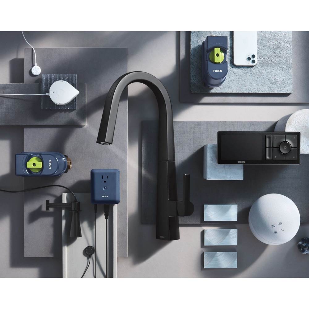Smart Shower 2-Outlet Digital Shower Controller for Thermostatic Shower Valve, Matte Black