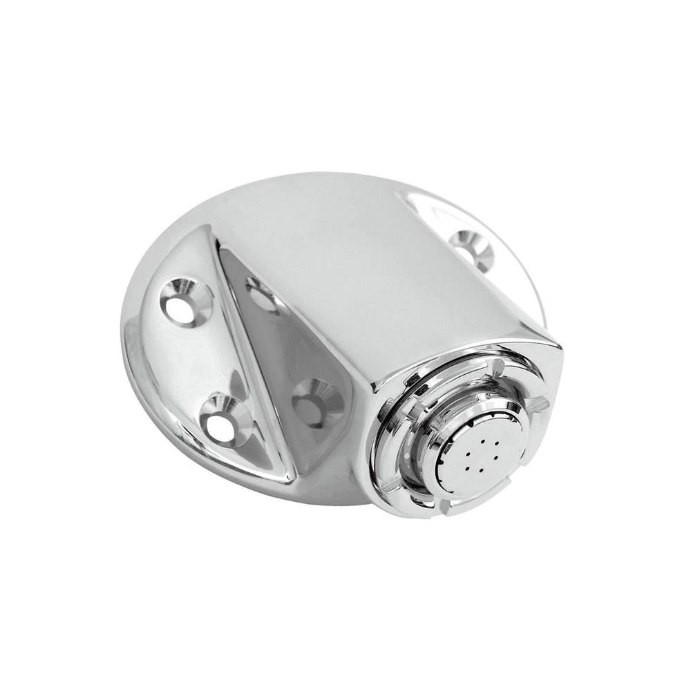 Moen - Chrome showerhead - Chrome