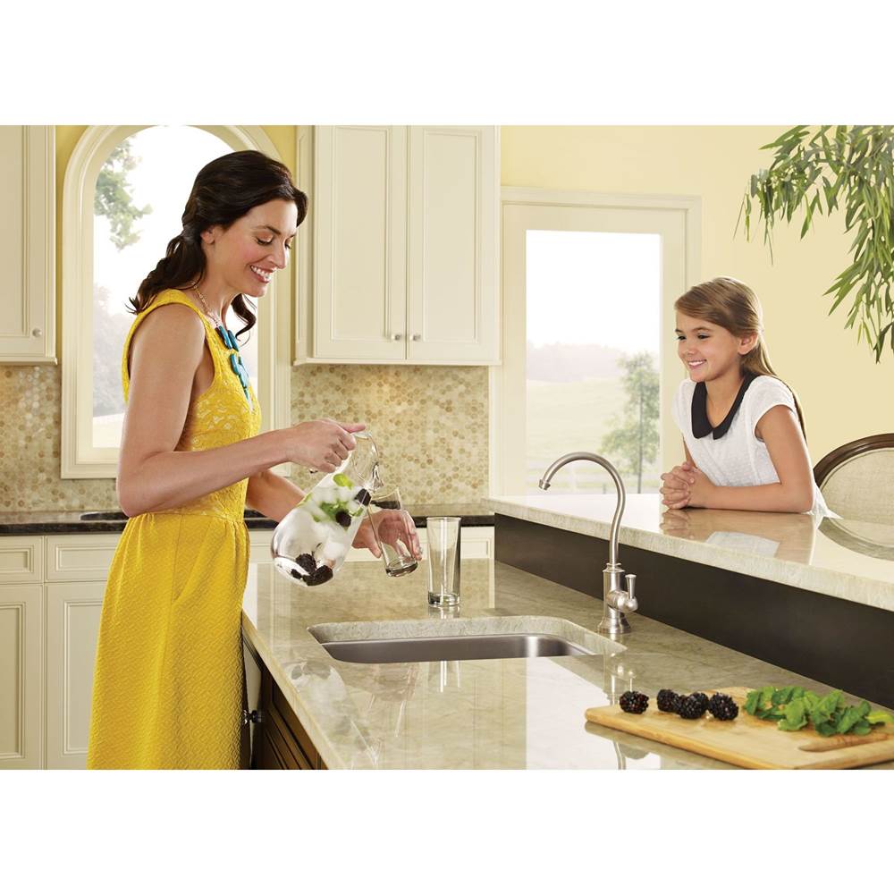 Sip Traditional Cold Water Kitchen Beverage Faucet with Optional Filtration System, Chrome