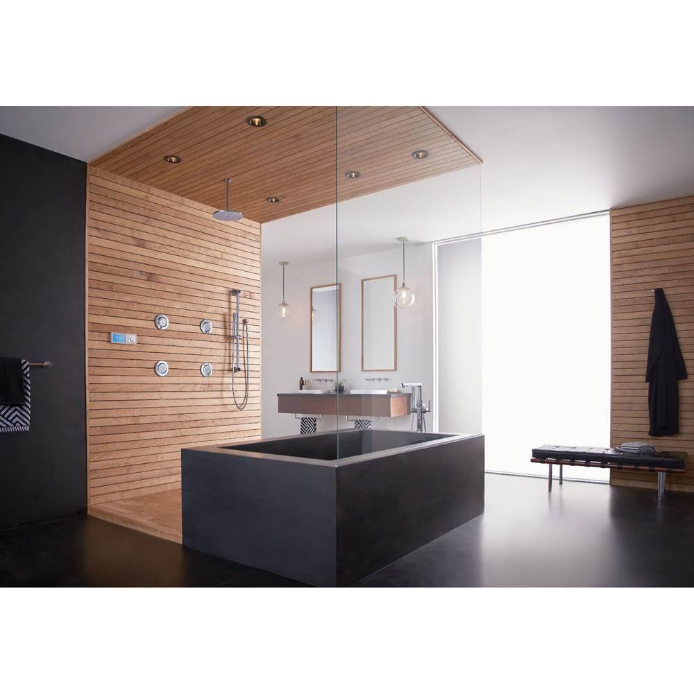 Mosaic 5-3/8 in. 2-Function Body Spray in Chrome