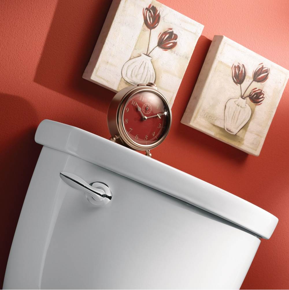 Brushed Nickel Tank Lever